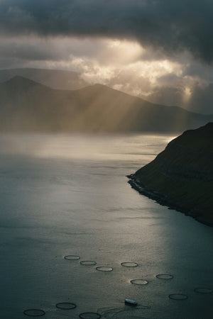 Torres Strait Say What! A Deep Dive into the Torres Strait Islander Languages